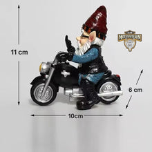 Carregar imagem no visualizador da galeria, Mini Gnomo Estradeiro
